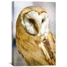 barn owl canvas art 30 x 45cm unframed canvas print artboc000056432 clock canvas 29439334744149