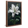 quadro lirio branco madeira reflexo
