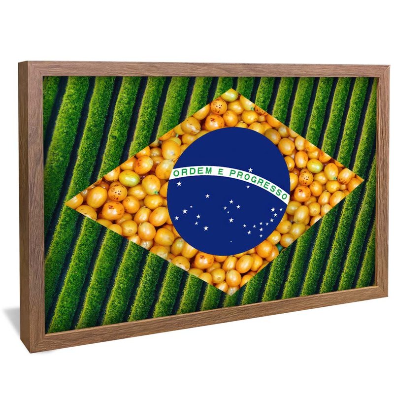 quadro agro e pop madeira