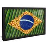 quadro agro e pop preto reflexo