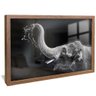 quadro elefante em preto branco madeira reflexo