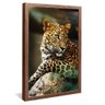 quadro retrato onca pintada madeira