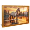 quadro cavalo no rio dourado reflexo
