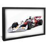 quadro f1 perfil preto