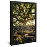quadro floresta raizes preto
