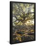 quadro floresta raizes preto reflexo