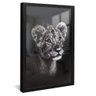 quadro baby lion preto reflexo