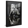 quadro cavalo branco preto reflexo