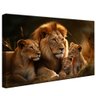 quadro decorativo familia de leoes com 2 filhotes v835 borda infinita