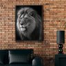 quadro decorativo lion johnny 01