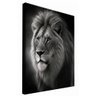 quadro decorativo lion johnny borda infinita