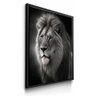 quadro decorativo lion johnny moldura preta
