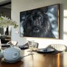 quadro decorativo leao negro v1829 01
