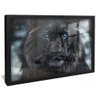 quadro decorativo leao negro v1829 moldura preta com vidro