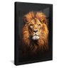 quadro decorativo majestoso leao de juda v1020 moldura preta com vidro
