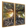 quadro duo floresta punjante dourado reflexo