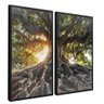 quadro duo floresta punjante preto reflexo