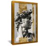 quadro david e ouro dourado