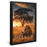 quadro leoes na savanna preto