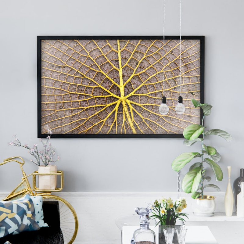 1 quadro vitoria regia raiz preto