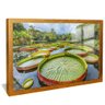 quadro lago vitoria regias dourado reflexo