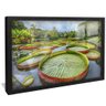 quadro lago vitoria regias preto reflexo