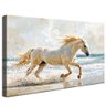 quadro cavalo branco na praia borda infinita