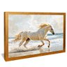 quadro cavalo branco na praia dourado