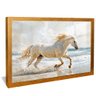 quadro cavalo branco na praia dourado reflexo