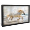 quadro cavalo branco na praia preto reflexo