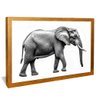 quadro elefante em preto e branco dourado