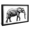 quadro elefante em preto e branco preto