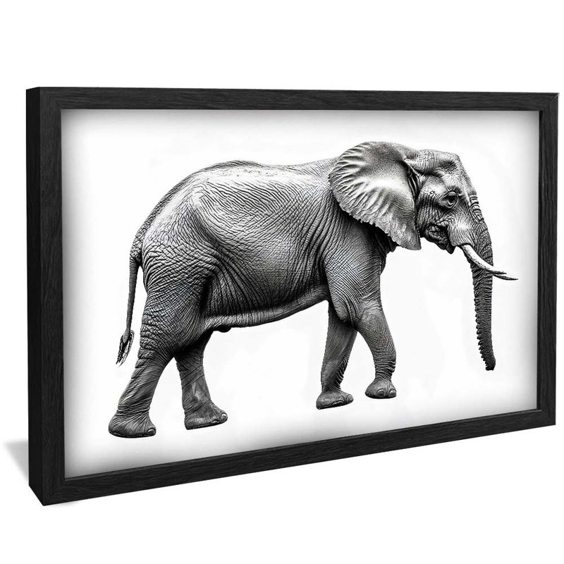 quadro elefante em preto e branco preto