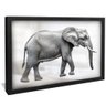 quadro elefante em preto e branco preto reflexo