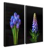 quadro duo lupino roxo preto reflexo