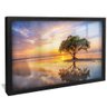 quadro arvore no lago preto reflexo