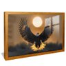 quadro aguia majestosa dourado reflexo