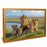 quadro leao em familia dourado