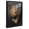 quadro leao juda imponente preto reflexo