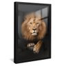 quadro leao majestoso juda preto reflexo