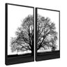 quadro duo arvore preto branco preto
