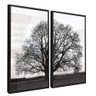 quadro duo arvore preto branco preto reflexo