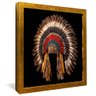 quadro cocar indigena dourado