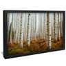quadro floresta de aspen preto