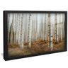 quadro floresta de aspen preto reflexo