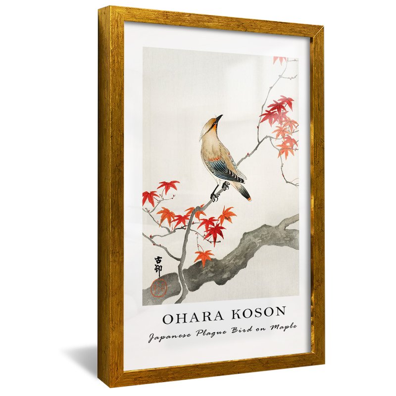 dourado reflexo plague bird