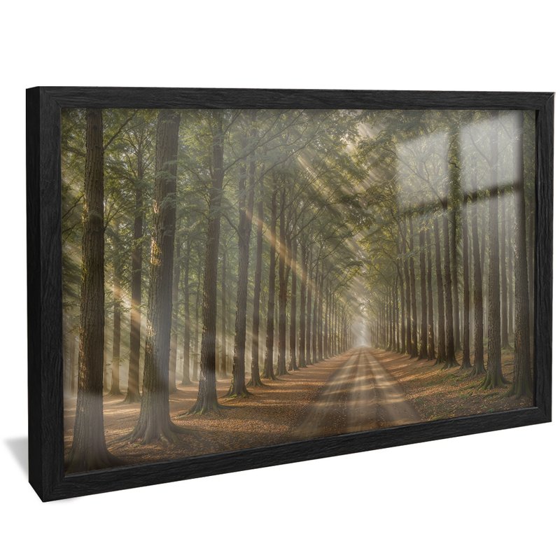 quadro caminho floresta preto reflexo