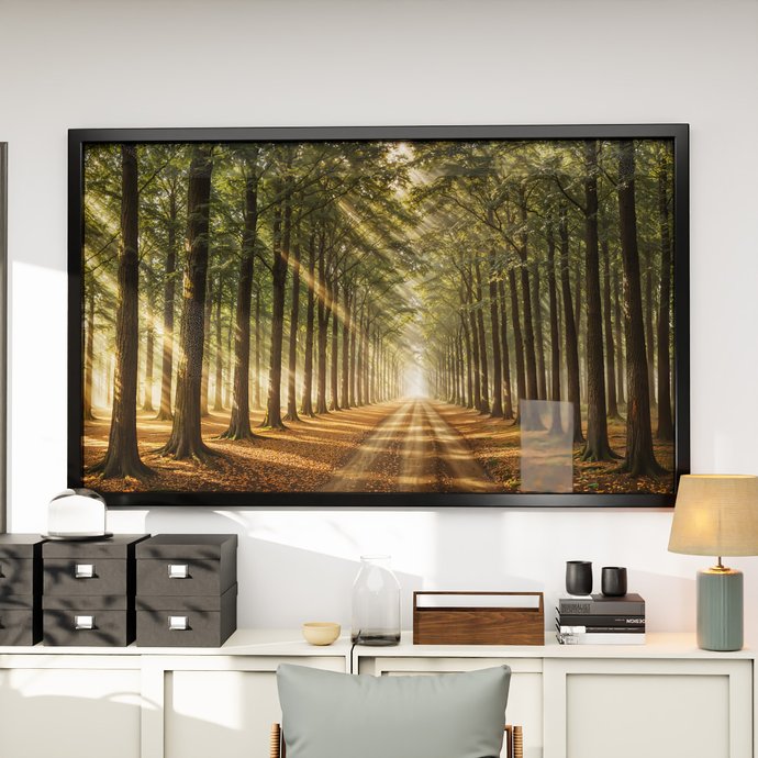 1 quadro caminho floresta