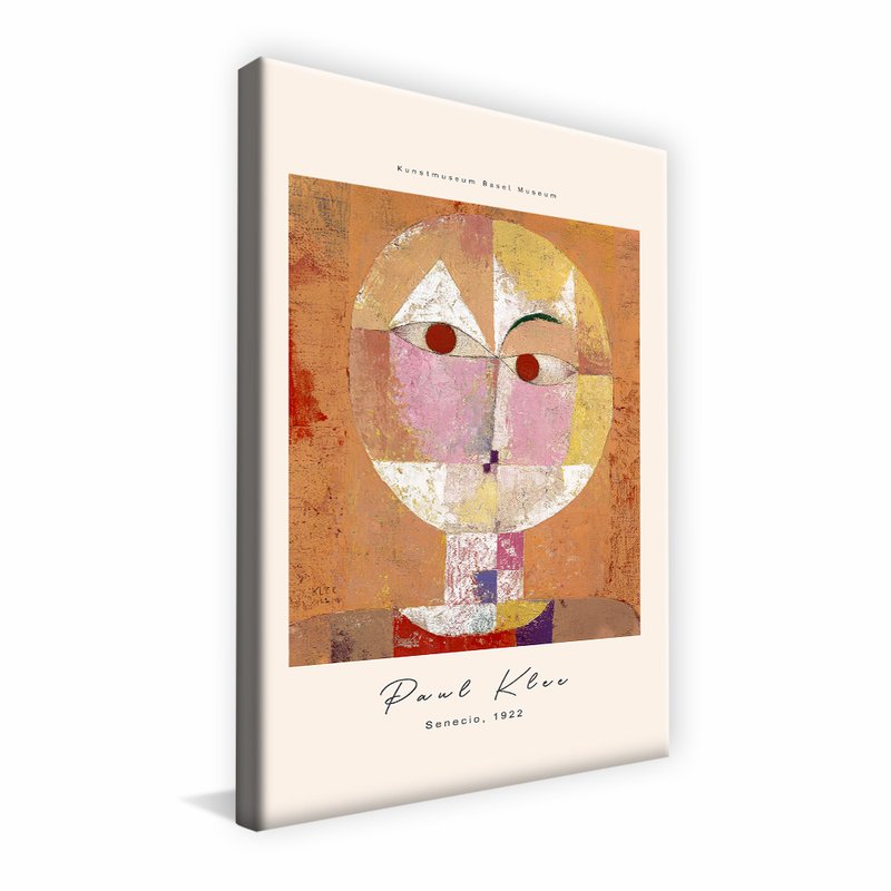 borda infinita senecio