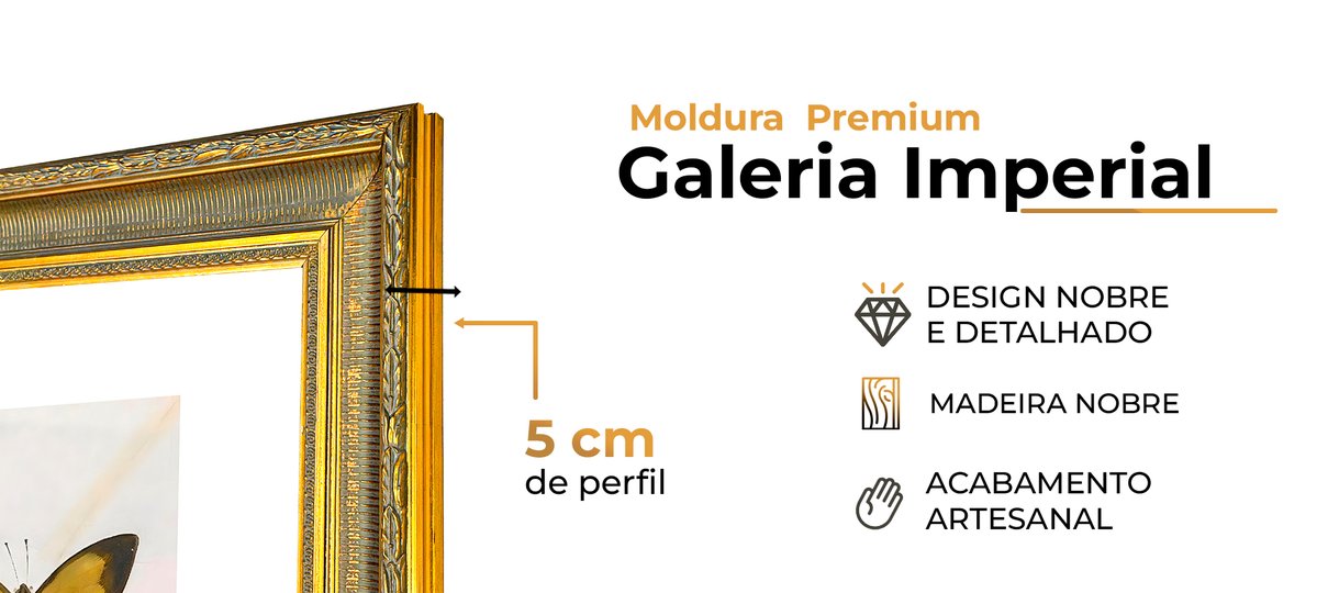 descricao geral molduras novas9 01